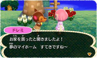Animal Crossing 3D : images et vidéo