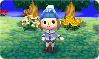 Animal Crossing 3D : images et vidéo