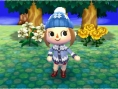 Screens-Video Animal Crossing 3D