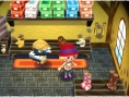 Screens-Video Animal Crossing 3D