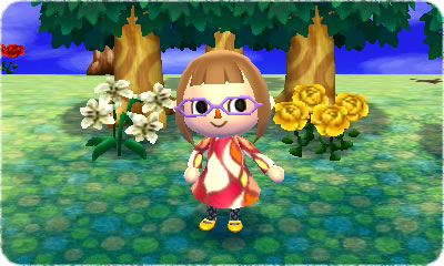 Screens-Video Animal Crossing 3D