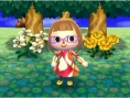 Screens-Video Animal Crossing 3D