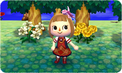 Screens-Video Animal Crossing 3D