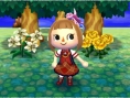Screens-Video Animal Crossing 3D