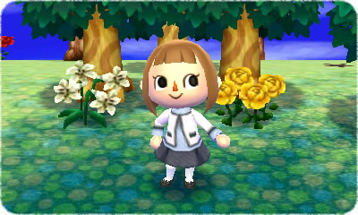 Animal Crossing 3D : images et vidéo