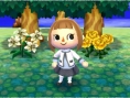 Screens-Video Animal Crossing 3D