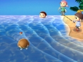 Screens-Video Animal Crossing 3D