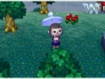 Screens Animal Crossing : Jump Out