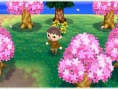 Screens Animal Crossing : Jump Out