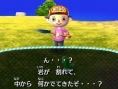 Animal Crossing 3DS : encore des images