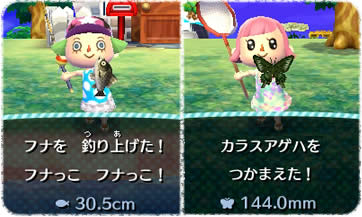Screens Animal Crossing : Jump Out