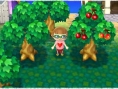 Animal Crossing 3DS : encore des images
