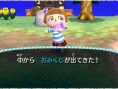 Animal Crossing 3DS : encore des images