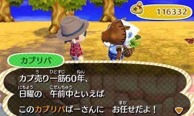 Animal Crossing 3DS : images et pubs