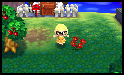 Screens Animal Crossing : New Leaf