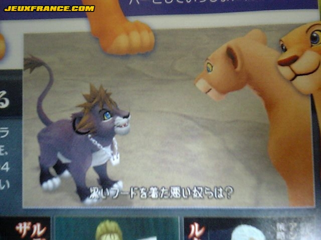Kingdom Hearts II en images