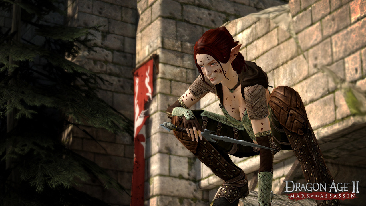 Un nouveau DLC pour Dragon Age II
