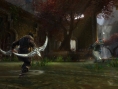 Images Kingdoms of Amalur : Reckoning