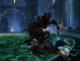 Images Kingdoms of Amalur : Reckoning