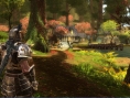 Screens-Video Kingdoms of Amalur