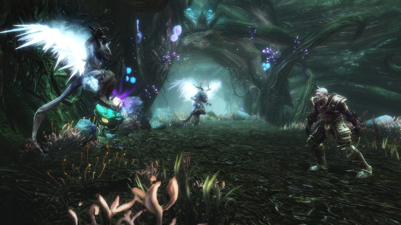 Vidéo Kingdoms of Amalur : Reckoning