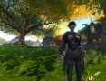 Screens Kingdoms of Amalur