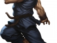 Screens Street Fighter III : Third Strike Online