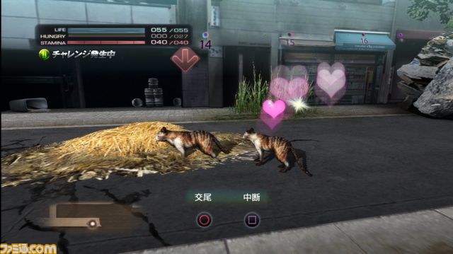 Tokyo Jungle : le plein d'images
