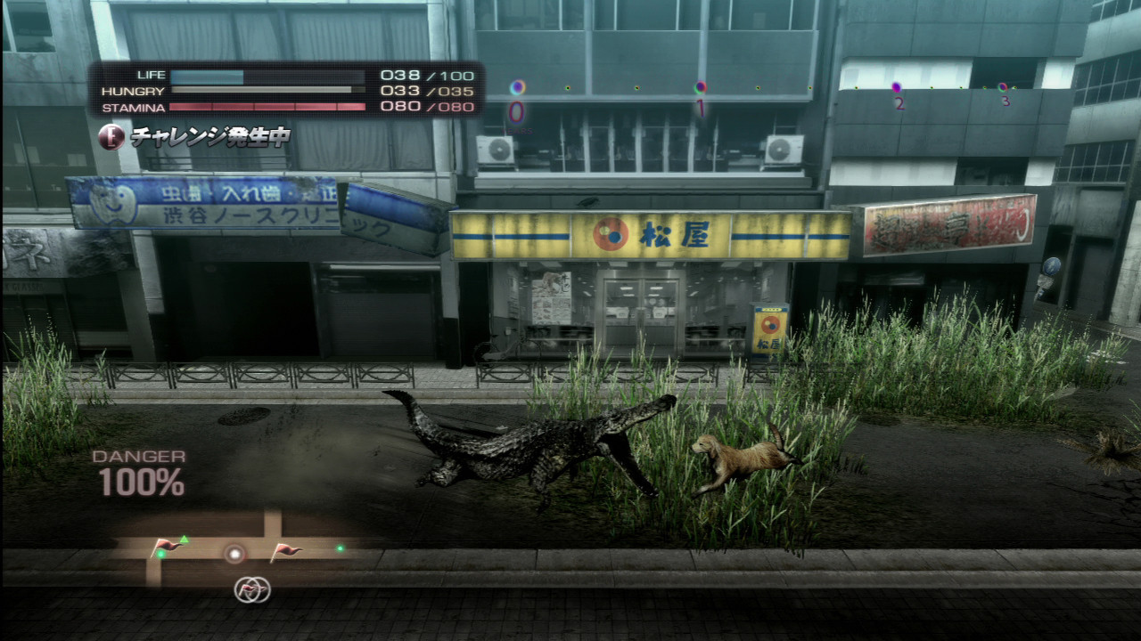 Tokyo Jungle : images et trailer