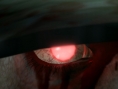 Images Yakuza OF THE END