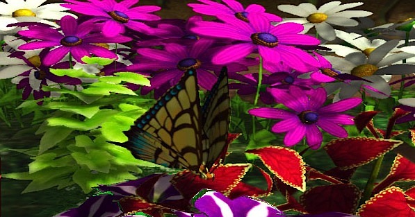 My Garden : images et vidéo