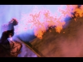 Screens Asura's Wrath
