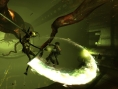 Screens DMC