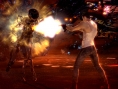 Screens DMC