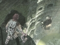 Ico & Shadow of the Colossus HD : premières images