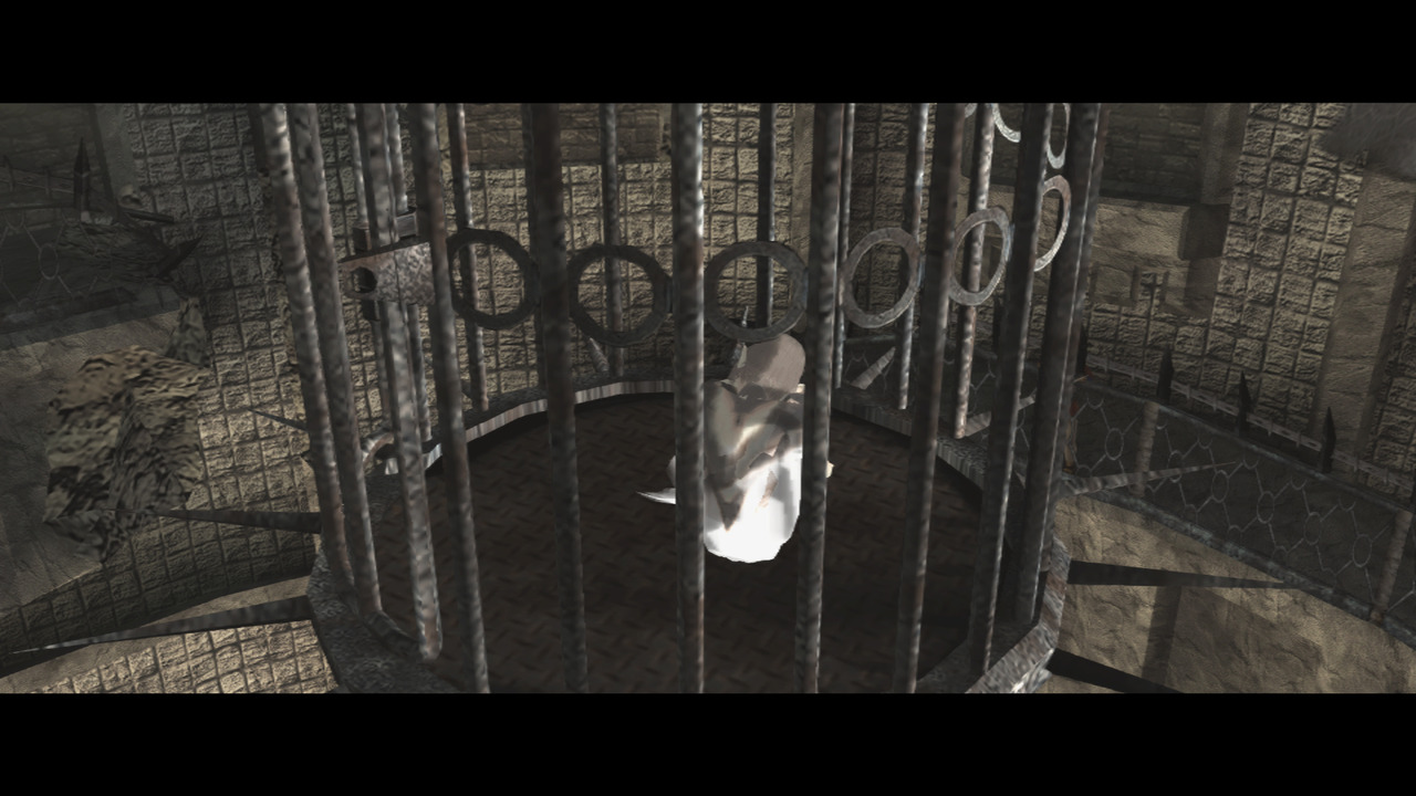 Images Ico & Shadow of the Colossus Collection
