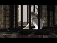 Vidéos Ico & Shadow of the Colossus HD