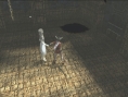 Screens Ico & Shadow of the Colossus HD