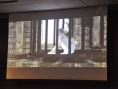 Screens Ico & Shadow of the Colossus HD