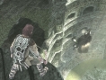 Screens Ico & Shadow of the Colossus HD