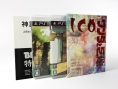 Screens Ico & Shadow of the Colossus HD