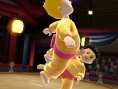Screens Sports Island 3DS