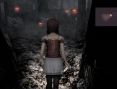Project Zero 2 Wii : le plein d'images