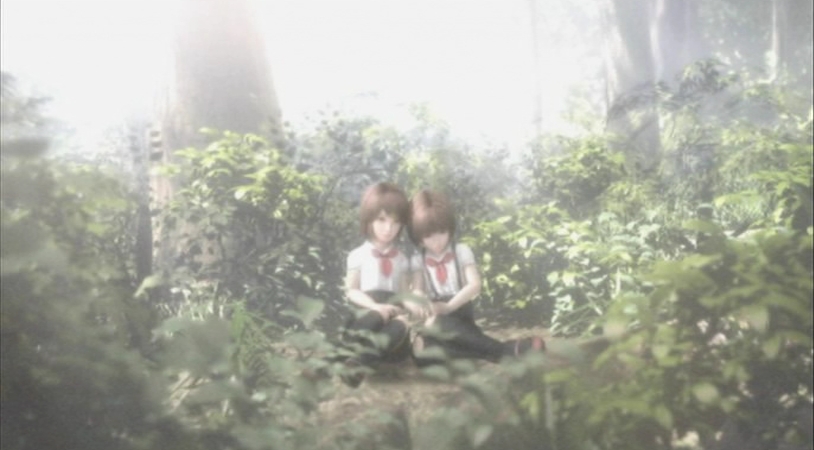 Project Zero 2 Wii : le plein d'images