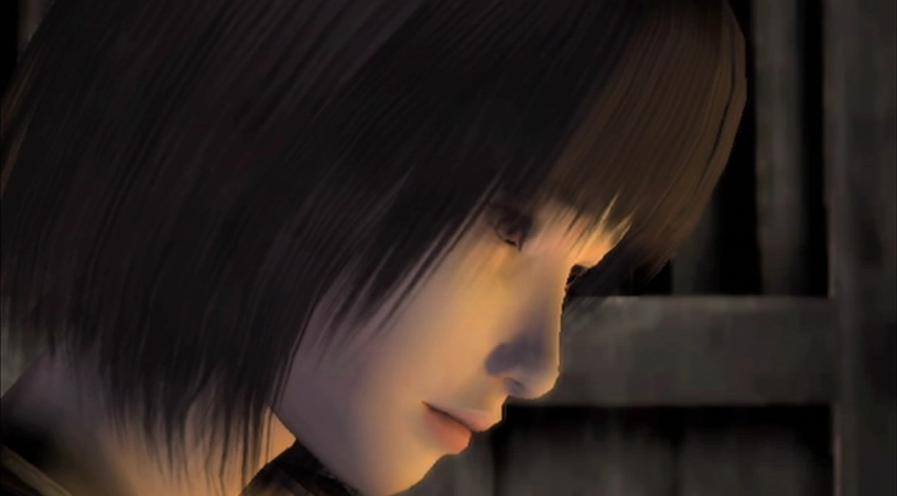 Screens Project Zero 2 Wii