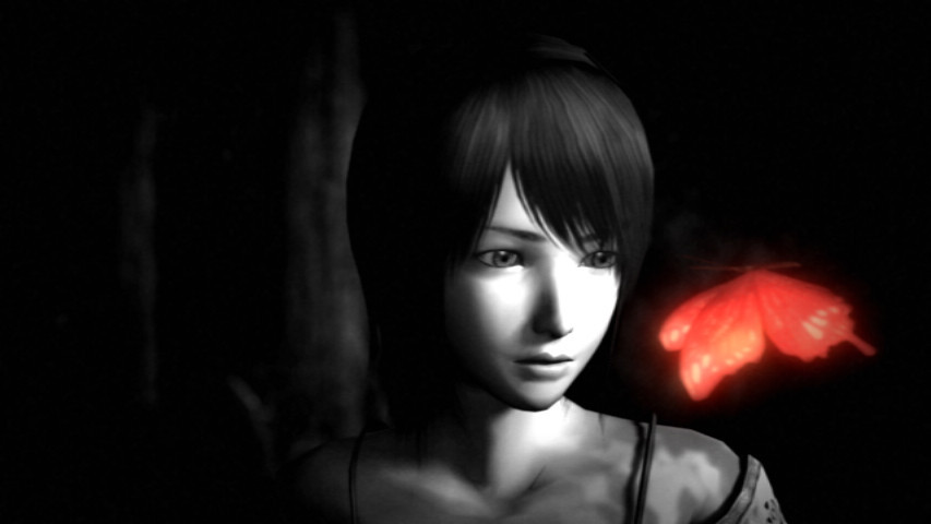 Screens Project Zero 2