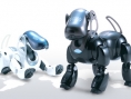La PSP adopte un chien