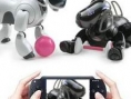 La PSP adopte un chien