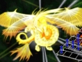 Venus & Braves : avalanche d'images