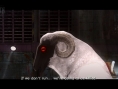 Screens Catherine